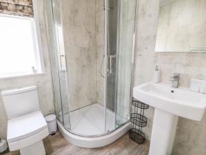 W łazience znajduje się prysznic, toaleta i umywalka. w obiekcie Dove Lodge w mieście Beaworthy
