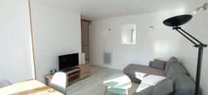 ein Wohnzimmer mit Couch und Fernseher in der Unterkunft Maison Coeur de Ville - Spacieuse avec Terrasse in Déville-lès-Rouen