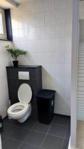 een badkamer met een toilet en een potplant bij Plattedijk - vakantiehuis 25-26 in Lemmer