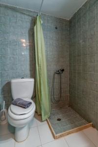 a bathroom with a toilet and a shower at Kiki&Nina in Halki +29 photos