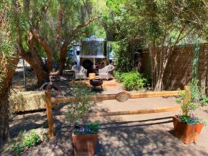 Foto dalla galleria di The Pony Experience; Glamping with Private Petting Zoo a Temecula