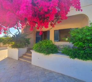 una casa con flores rosas en la parte delantera en Villa A'mare, en Savelletri di Fasano