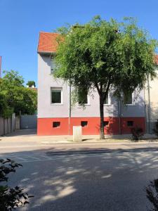 budynek z drzewem obok ulicy w obiekcie Alpesi Apartman w mieście Sopron