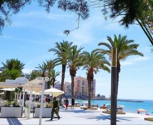 Fotografie z fotogalerie ubytování Penthouse Residencial Virginia v destinaci Torrevieja