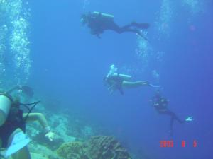Гости Flag Hotel Foya Branca