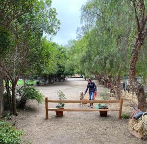 Foto dalla galleria di The Pony Experience; Glamping with Private Petting Zoo a Temecula