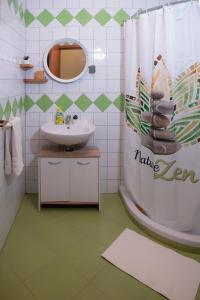 łazienka z umywalką i zasłoną prysznicową w obiekcie Apartment and Rooms Vilma w Fažanie