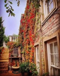 a building with a bunch of flowers on it at Villa Anna Katarina in Riebeek-Kasteel