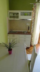 a kitchen with a sink and a table with a plant at Studio Apartment in Palit with Balcony, Air Conditioning, Wi-Fi (4603-4) in Mundanije