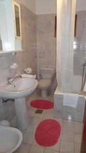 a bathroom with a sink and a toilet and a shower at Studio Apartment in Palit with Balcony, Air Conditioning, Wi-Fi (4603-4) in Mundanije