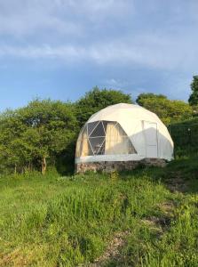 a white tent in a field of grass at Yenokavan Glamping in Ijevan