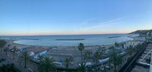 uma vista para uma praia com palmeiras e para o oceano em Hotel Svizzera em Arma di Taggia