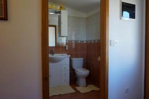a bathroom with a toilet and a sink and a mirror at Apartments Ivanković in Preko +16 photos
