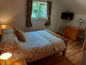 um quarto com uma cama, uma televisão e uma janela em Bryn Sion Farm em Dinas Mawddwy
