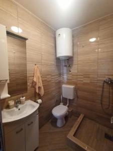 a bathroom with a toilet and a sink at Lastva Holliday Rooms in Budva +46 photos