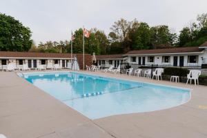 Bazén v ubytování Blue Moon Motel nebo v jeho okolí