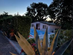 Zahrada ubytování B&B VILLA LUPIDI