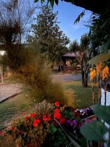 Zahrada ubytování B&B VILLA LUPIDI