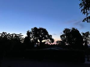 um céu escuro com árvores em primeiro plano em B&B VILLA LUPIDI em Corridonia