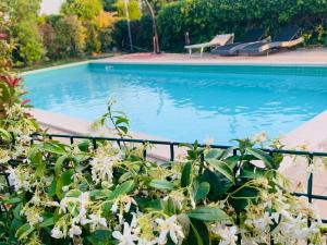 Basen w obiekcie Charming Attic Apartment With Balcony & Swimming Pool lub w pobliżu