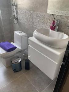 Koupelna v ubytování Aparthotel Alfa