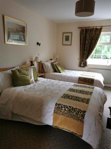 a hotel room with two beds and a window at Noraville House in Killarney