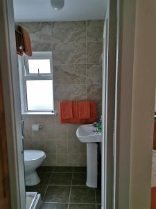 a bathroom with a sink and a toilet and a window at Noraville House in Killarney