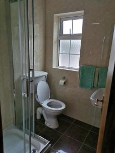 a bathroom with a toilet and a shower and a sink at Noraville House in Killarney