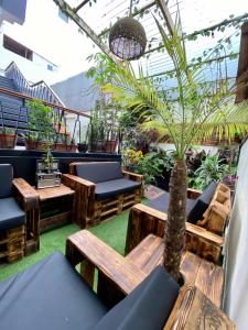 Zahrada ubytování Black Llama Hostel Miraflores