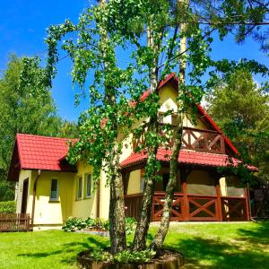 une maison avec un toit rouge et un arbre dans l'établissement DOMEK LETNISKOWY NA MAZURACH, à Wydminy