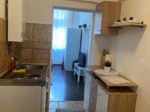 eine kleine Küche mit einer Spüle und einer Arbeitsplatte in der Unterkunft Rover Apartment in Wien