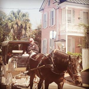 un hombre conduciendo un carruaje tirado por un caballo por una calle en Bijou Boutique Inn en Charleston