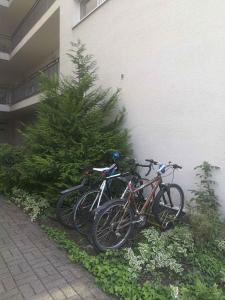 Jazda na bicykli v okolí ubytovania Apartment in Siofok - Balaton 20059 + 6 fotografií