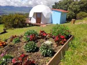 Ein Garten an der Unterkunft Glamping hermoso amanecer