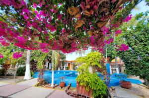 un bouquet de fleurs suspendues à un arbre près de la piscine dans l'établissement Hotel Oasis Melaque, à San Patricio - Melaque