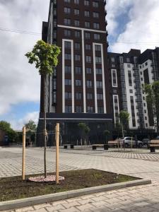 un árbol en un patio frente a un edificio en Чудова квартира в центрі міста, en Rivne