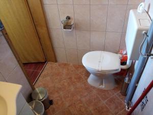 Baño pequeño con aseo en una cabina en Apartman Potocki, en Krapina