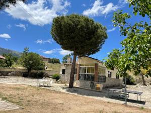 une maison avec un arbre en face dans l'établissement Los Robles, à Ávila