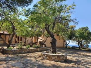 Afbeelding uit fotogalerij van La Bergerie in LʼÎle-Rousse