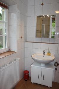 a bathroom with a sink and a mirror at Landhaus Monika in Plütscheid