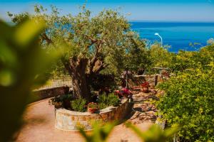 a garden with a tree and flowers and the ocean at Residenza Golfo Degli Ulivi in Caprioli
