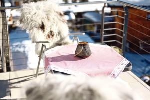 Fotografie z fotogalerie ubytování Appartements Haus Dr Muxel v destinaci Lech am Arlberg