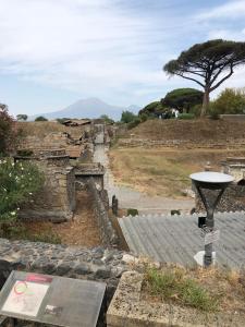 Gallery image of Domus Luciae in Pompei