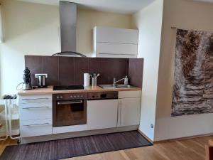 a kitchen with a sink and a stove at Ferienhaus Schwaab-Scherr mit kostenlosem ÖPNV-Ticket in Erden