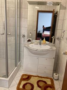 ein Bad mit einem Waschbecken, einer Dusche und einem Spiegel in der Unterkunft Haus Sonne in Todtmoos