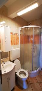 y baño con ducha, aseo y lavamanos. en Apartment Palada, en Baška