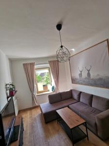 sala de estar con sofá y mesa en Haus Nothnagl, en Spitz