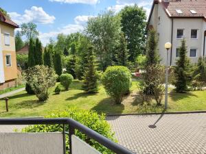 widok na ogród z drzewami i krzakami w obiekcie Apartament 1 SUPER VIP Królewiecka centrum w mieście Mrągowo