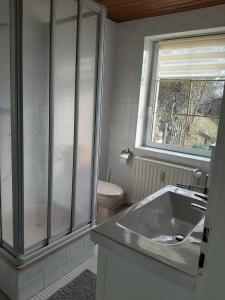 a bathroom with a shower and a sink and a toilet at Ferienhaus Elbsommer am Weinberg II in Meißen