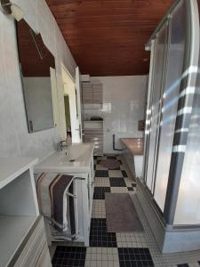 ein Badezimmer mit einem Waschbecken, einer Dusche und einer Badewanne in der Unterkunft Ferienhaus Elbsommer am Weinberg II in Meißen
